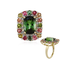18K Santa Rosa Tourmaline Gold Ring (D'vyere)