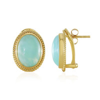 Amazonite Silver Earrings