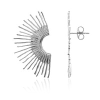 Silver Earrings (Joias do Paraíso)