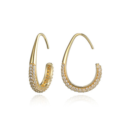 Zircon Silver Earrings