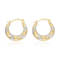 9K Gold Earrings