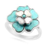 Campitos Turquoise Silver Ring (Anne Bever)