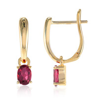 9K Rubellite Gold Earrings (Tenner Diniz)