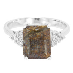 Dinosaur Bone Silver Ring