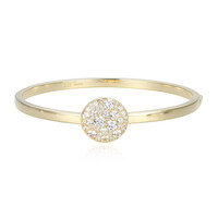 Zircon Silver Bangle(Adela Silber)