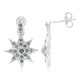 Fancy Diamond Silver Earrings