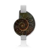 Ammonite Silver Pendant