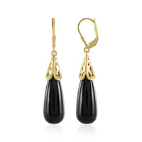 Black Onyx Silver Earrings