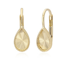 9K Gold Earrings