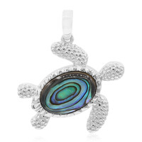 Abalone Shell Silver Pendant