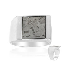 Aletai-Meteorite Silver Ring