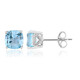 Sky Blue Topaz Silver Earrings