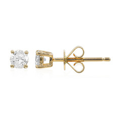 14K I1 (H) Diamond Gold Earrings (CIRARI)