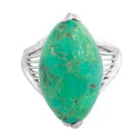 Kingman Green Mojave Turquoise Silver Ring