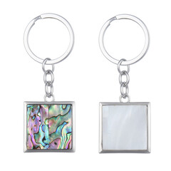 Abalone Shell other Accessory