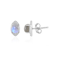 Labradorite Silver Earrings