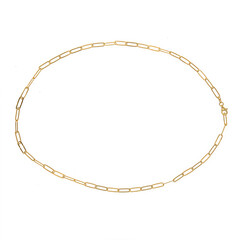 Silver Necklace (Joias do Paraíso)