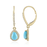 9K Sleeping Beauty Turquoise Gold Earrings (Adela Gold)