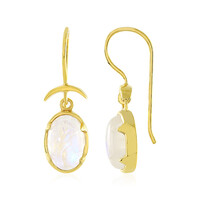 Rainbow Moonstone Silver Earrings