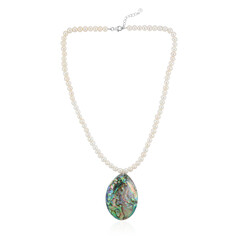 Abalone Shell Silver Necklace (TPC)
