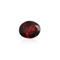 Mozambique Garnet other gemstone 2,508 ct