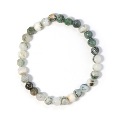 Tree Jasper other Bracelet