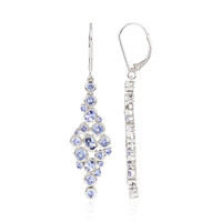 Tanzanite Platinum Earrings (KM by Juwelo)