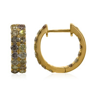 14K SI2 Fancy Diamond Gold Earrings (CIRARI)
