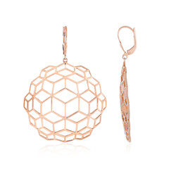 Silver Earrings (SAELOCANA)