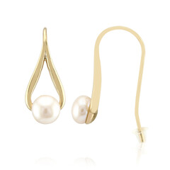 White Freshwater Pearl Silver Earrings (TPC)