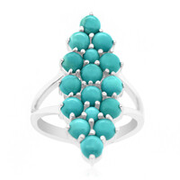 Campitos Turquoise Silver Ring (Anne Bever)