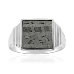 Aletai-Meteorite Silver Ring