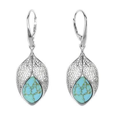 Turquoise Silver Earrings (dagen)