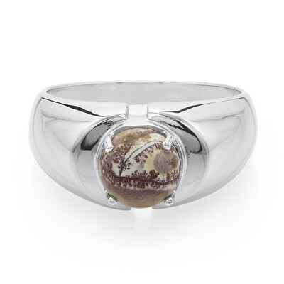 Sonora Dendritic Silver Ring