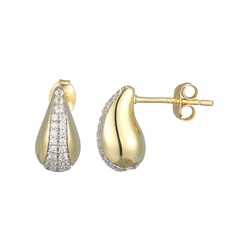 Zircon Silver Earrings (Adela Silber)
