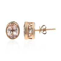 14K AAA Morganite Gold Earrings
