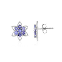 Tanzanite Silver Earrings