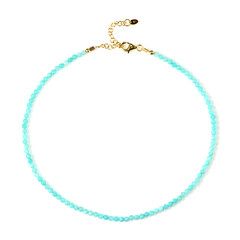 Amazonite Silver Necklace