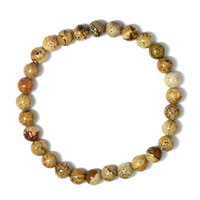 Picture Jasper other Bracelet