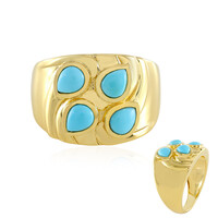 Sleeping Beauty Turquoise Silver Ring