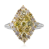 14K SI2 Fancy Diamond Gold Ring (CIRARI)