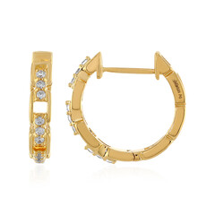 Zircon Silver Earrings