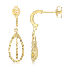 Fancy Diamond Silver Earrings