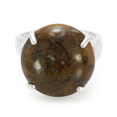 Dinosaur Bone Silver Ring