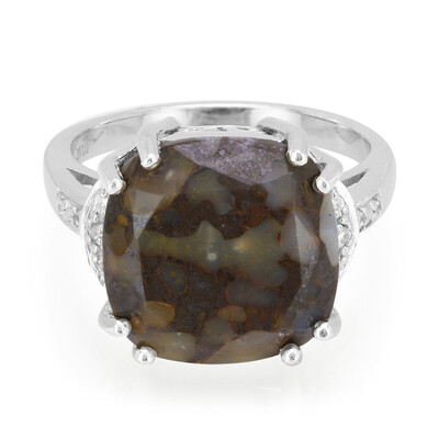 Dinosaur Bone Silver Ring