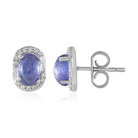 Tanzanite Silver Earrings