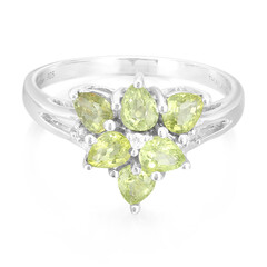 Paraiba Tourmaline Silver Ring