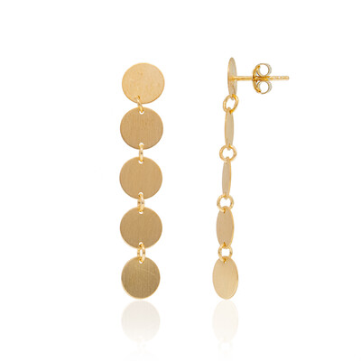 Silver Earrings (Joias do Paraíso)