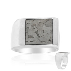 Aletai-Meteorite Silver Ring