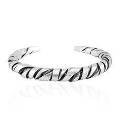 Silver Bangle (Nan Collection)